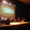 miminhos_natal_2013 007